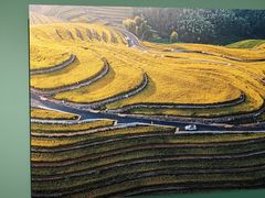 -中国湿地博物馆