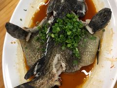 清蒸石斑鱼-明记海鲜大排档(巽寮湾店)