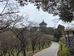 -无锡梅园公园