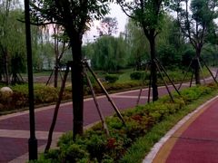 -九龙湖公园