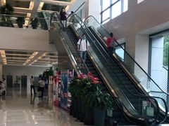 -浦东市民中心-停车场