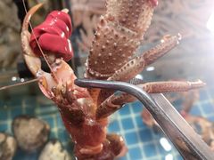 -连鹭海鲜·海肠捞饭·海胆饭(星海店)