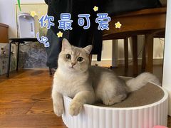 -转角宠物(转塘方家苑店)
