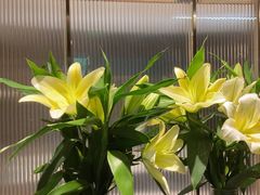-鑫小城故事·藕汤·家常菜(台北一路总店)