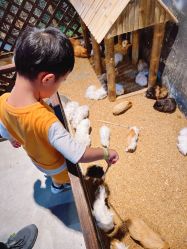 -酷嗒动物文化乐园(cutezoo西溪乐天城店)