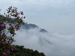 -广州市石门国家森林公园