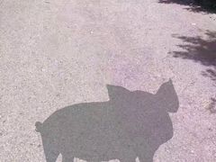 -赛百味SUBWAY(勒泰店)