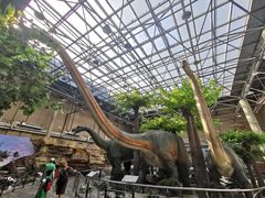 -国家自然博物馆