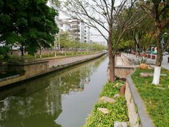 -番禺广场(市桥街道)