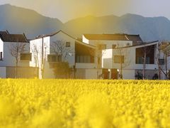 -东梓关景区村庄