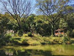 -杭州植物园