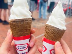 -富豪雪糕车流动点(尖沙咀店)