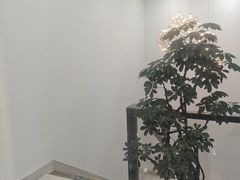 -牙博士口腔品牌连锁(昆山城区店)