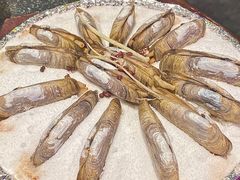 铁板盐烤蛏子-王庄阿咪海鲜大排档(象园店)