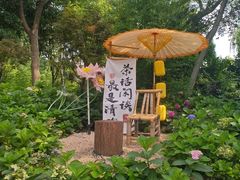 -无锡蠡湖国家湿地公园-蠡园