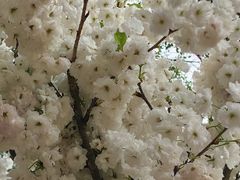 -观澜湖生态运动公社