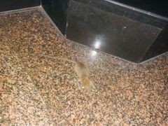 -萧邦音乐会所KTV·蒸汽活海鲜自助(福田店)