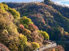 -少华山国家森林公园