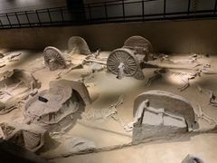 -洛阳周王城天子驾六博物馆