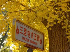 -北京国子监胡同