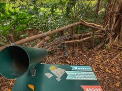 -华侨城湿地公园