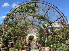 -The Grounds of Alexandria