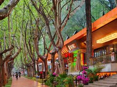 -西安电影制片厂