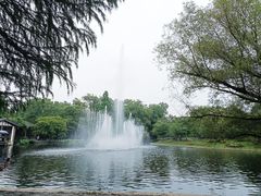 -上海共青森林公园
