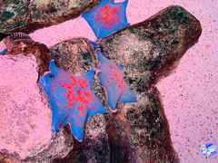 -沈阳海洋探索中心