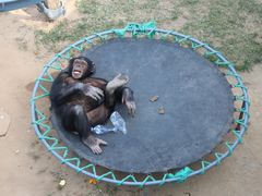 -西霞口神雕山野生动物世界