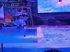 -海合安武汉极地海洋公园