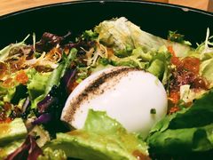 蛋蛋沙拉-隐泉之语日式料理(王府中环店)