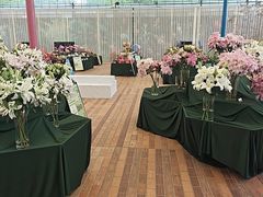 -上海鲜花港