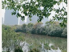 -艾溪湖湿地公园