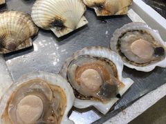 粉丝蒸扇贝-蚝专家(北滘店)