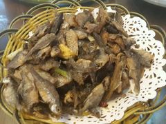 android_upload_pic-四季园农家乐