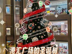 -港汇恒隆广场