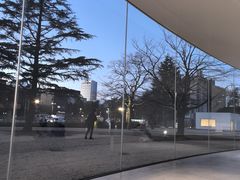 -金泽21世纪美术馆