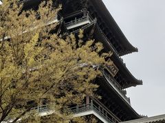 -济南大明湖景区