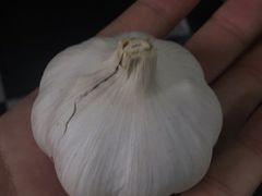 -四平包子铺