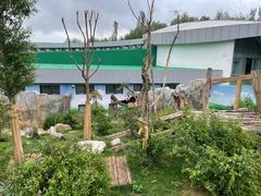 -青藏高原野生动物园