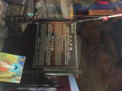 寻龙山景区-寻龙山风景旅游区