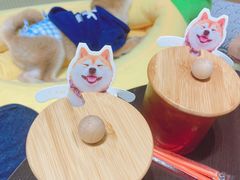 -逗柴咖啡屋·狗咖猫咖宠物桌游