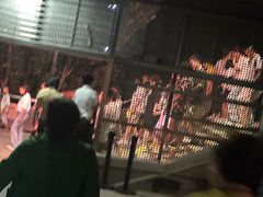 -鼎盛王朝康熙大典实景演出