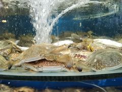 -蓝珊甄选海鲜自助·火锅大排档(近阿那亚店)