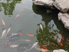 -吴作人艺术馆