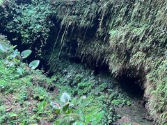 -海口火山口国家地质公园