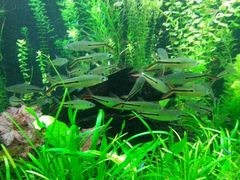 -上海海洋水族馆