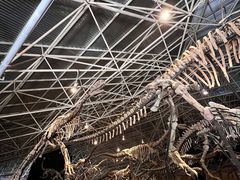 -世界恐龙谷景区