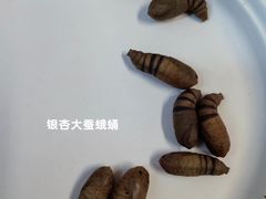 -黄公望隐居地